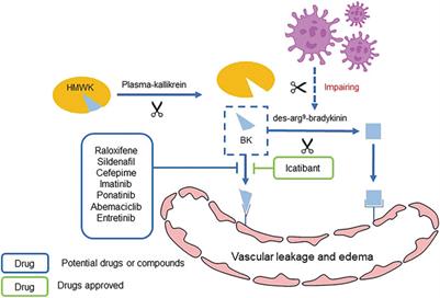 Pulmonary Edema in COVID-19 Patients: Mechanisms and Treatment Potential